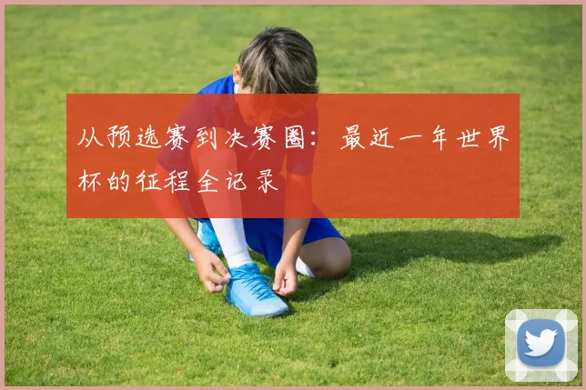 从预选赛到决赛圈：最近一年世界杯的征程全记录