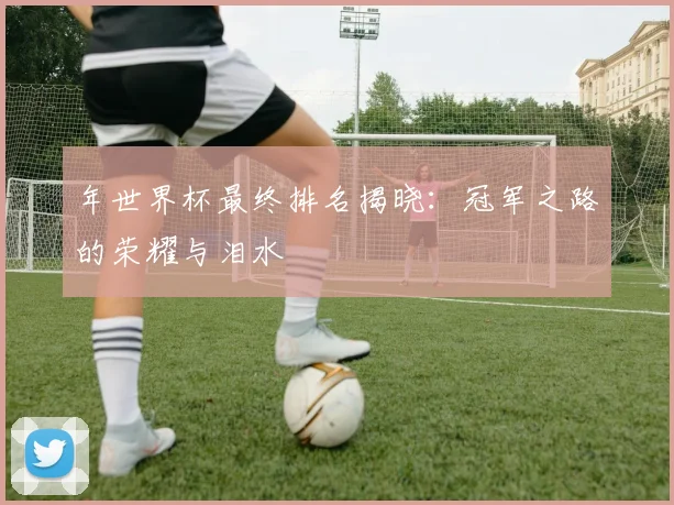 年世界杯最终排名揭晓：冠军之路的荣耀与泪水