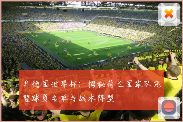 年德国世界杯:揭秘荷兰国家队完整球员名单与战术阵型
