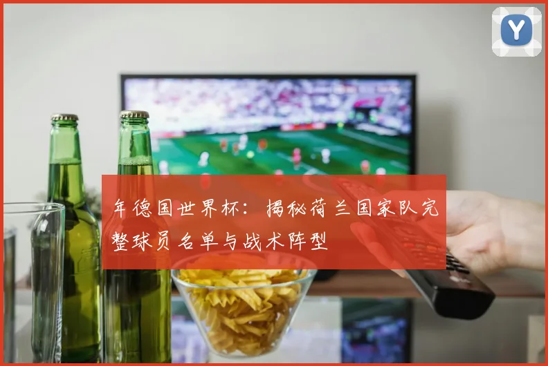 年德国世界杯：揭秘荷兰国家队完整球员名单与战术阵型
