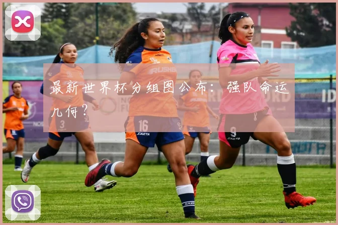 最新世界杯分组图公布：强队命运几何？