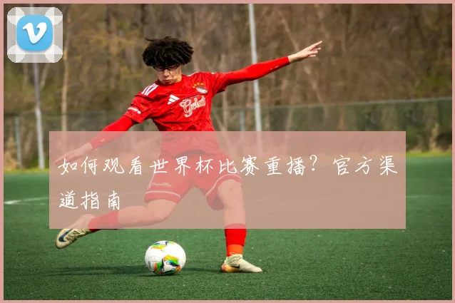 如何观看世界杯比赛重播？官方渠道指南