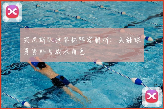 突尼斯队世界杯阵容解析：关键球员资料与战术角色