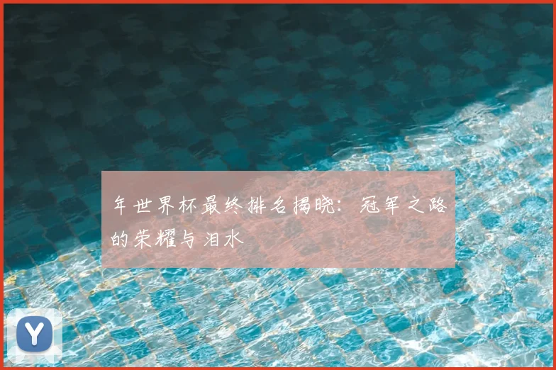 年世界杯最终排名揭晓：冠军之路的荣耀与泪水