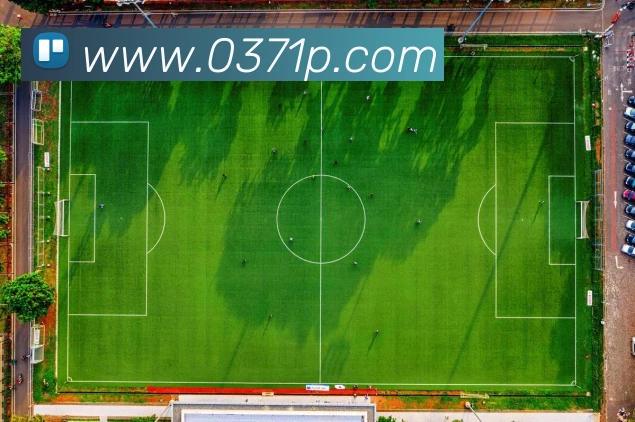 App Interface Preview